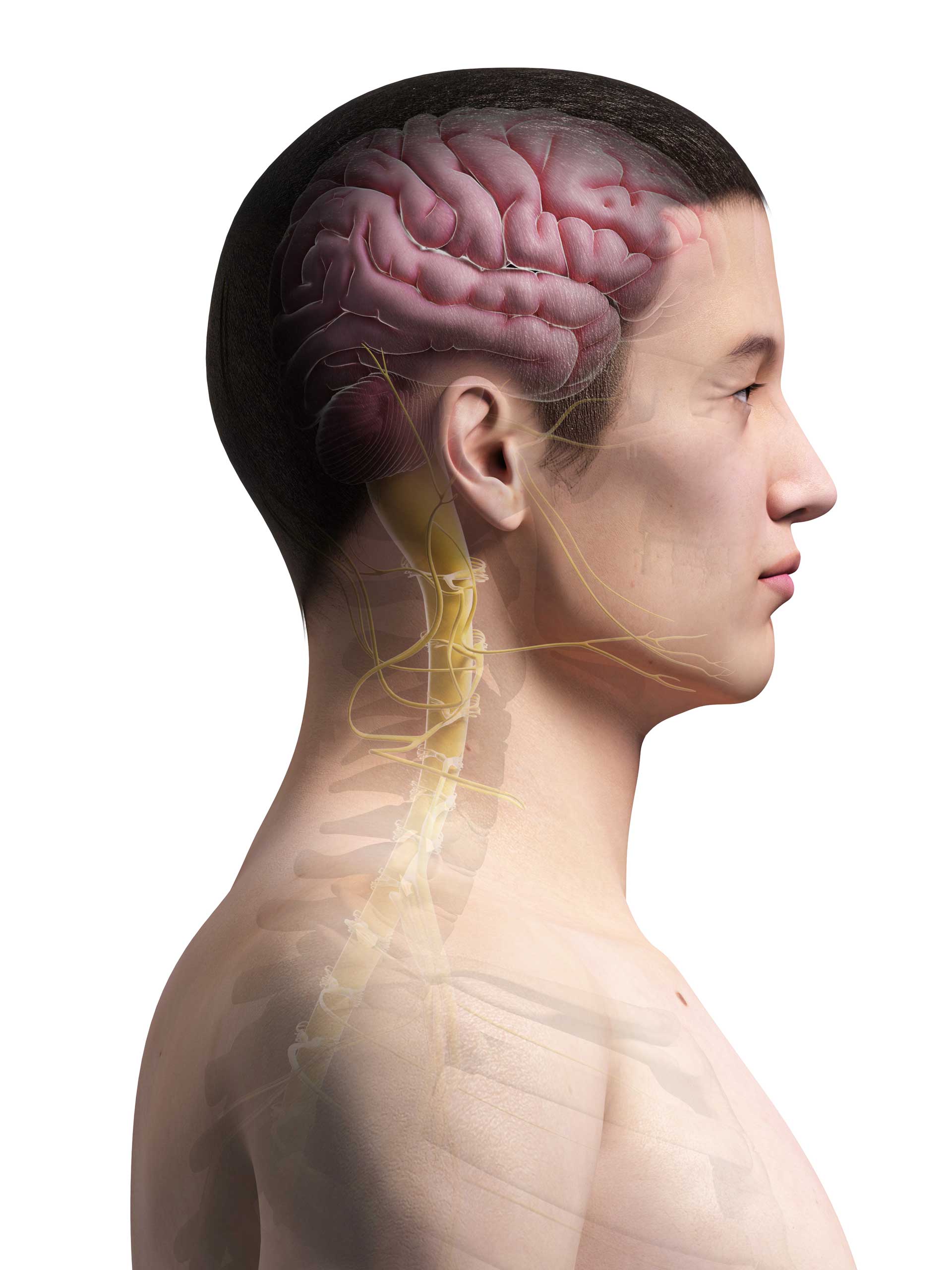 Invasive and Non-invasive Vagus Nerve Stimulation Work in the Same Way