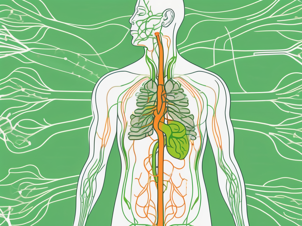 Can Vagus Nerve Stimulation Cause Coughing?