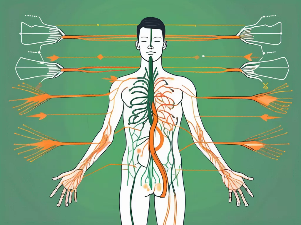 The vagus nerve highlighted within a stylized