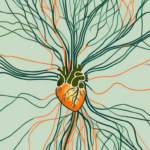 The vagus nerve as a network of lines branching out from the brain