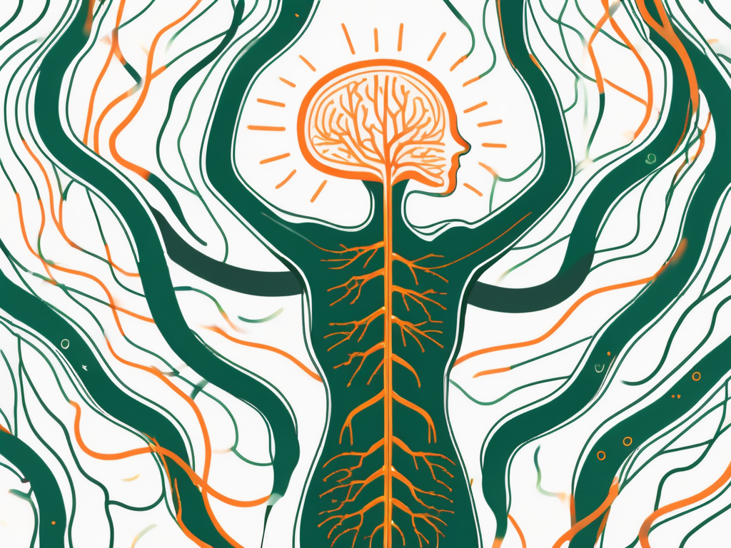The human nervous system highlighting the vagus nerve